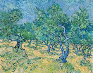 Olive grove, 1889