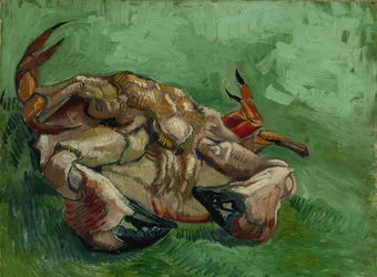 A Crab, Lying on His Back