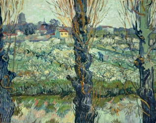 View of Arles
