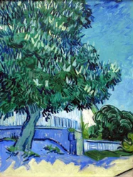 Blossoming Chestnut Trees