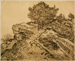 The Rock of Montmajour with Pines