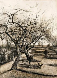 The Garden of the Parsonage in Nuenen. 1884
