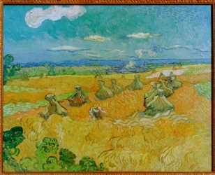 Harvest