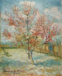 Flowering peach tree