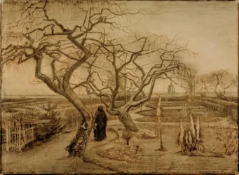 Garden in Winter