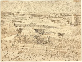 Harvest--The Plain of La Crau