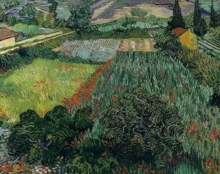 Poppy Field