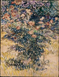 Oleanders, the Hospital Garden at Saint-Remy