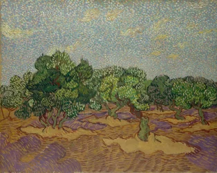 Olive Trees, 1889