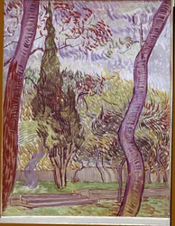 Park of the Saint-Paul Hospital in Saint-Remy-de-Provence