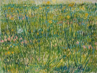 Patch of Grass, April-June 1887