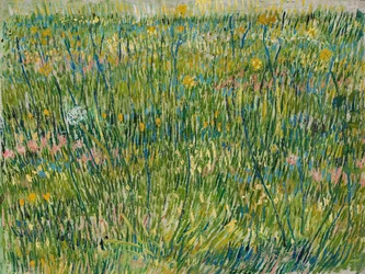 Patch of Grass