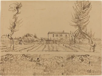 Ploughman in the Fields near Arles