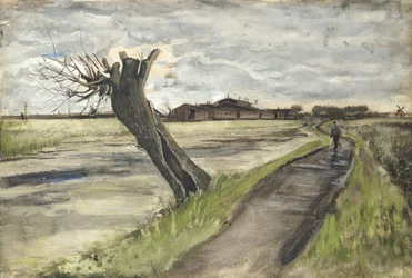 Pollard Willow