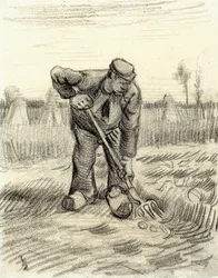 Potato Gatherer