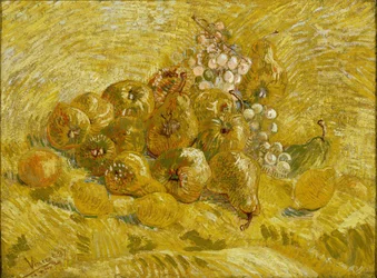 Quinces, lemons, pears and grapes, 1887-1888