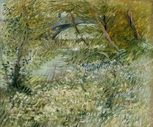 River Bank in Springtime