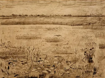 Swamp Landscape with Water Lilies