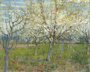 The Pink Orchard, also Orchard with Blooming Apricot Trees