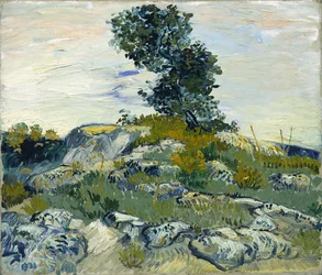 The Rocks / Rocks with Oak Tree