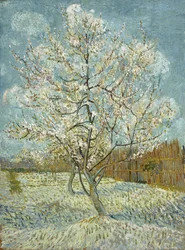 The pink peach tree