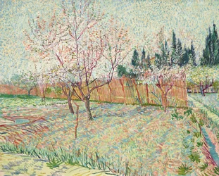 Orchard with Cypresses