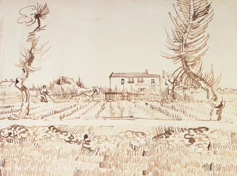 Working the Fields at Arles
