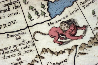 Representation of a manticore, a fantastic creature with a human head (often with horns, blue eyes and three rows of teeth), and a scorpion or dragon tail and a lion body. Detail of a world map by Vincenzo Coronelli (1650-1718). 17th century