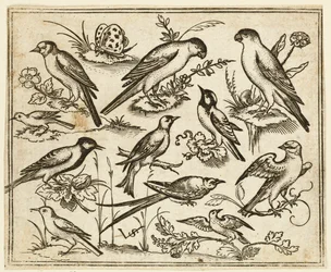 Eleven Birds Sitting on Patches of Flowering Foliage and Small Branches