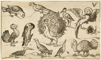 Peacock in centre surrounded by nine other birds, including a turkey, and a butterfly