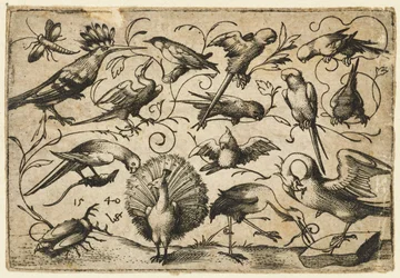 Ten birds on small foliage tendrils with a stork tying a tendril around a pelican’s leg