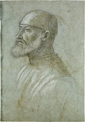 Head of Bearded Man Wearing a Cap, in Profile to the Left