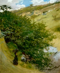 Woodpile in landscape