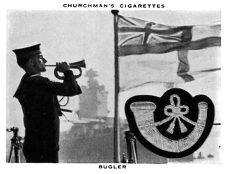 Bugler