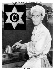 Cook, 1937