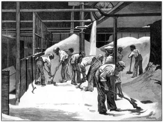 Sugar Making at the Counterslip Refinery, Bristol