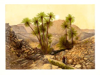The Desert of Sinai, Egypt, c1870