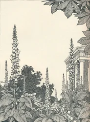 Illustration to A Midsummer Night