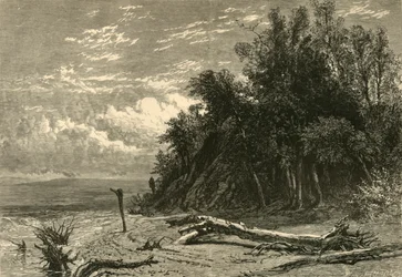 The Shore at Lake Forest, 1874