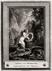 Cadmus and Hermione, Metamorphosed into Serpents