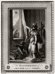 The Transformation of Arachne into a Spider