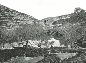 The Pool of Siloam, Jerusalem, Palestine