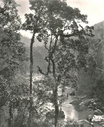 View of the Kelani River, Kurunegala, Ceylon
