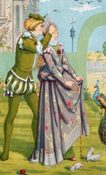 The Romantic Surprise