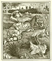 The Remarkable Rocket