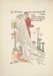 The bride and groom. A lily white robe worn by the bride, and sweet William, the groom, dressed in red