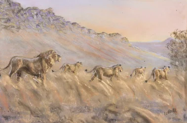 African lions