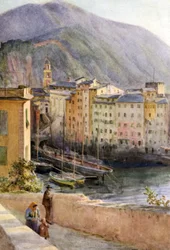 Harbour, Camogli