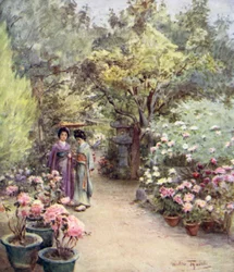 Peonies in a Tea Garden, Kyoto