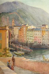 The Harbour at Camogli